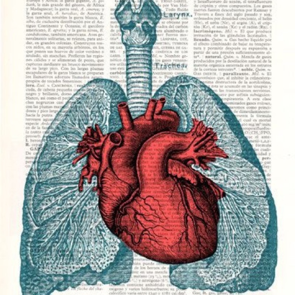 Meet your Posher, Alexandra